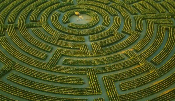 articulations du labyrinthe