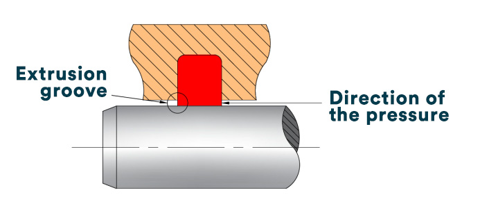 Anti extrution ring graphic