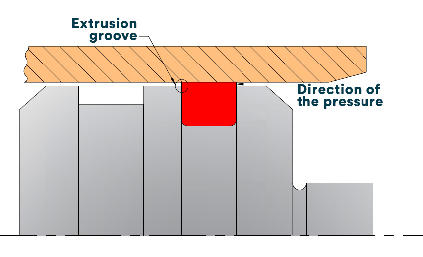 Anti extrution ring graphic 2