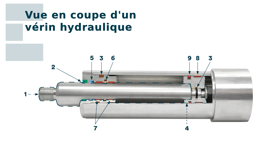 Vue en coupe d'un vérin hydraulique - Epidor Seals and Rubber Technology